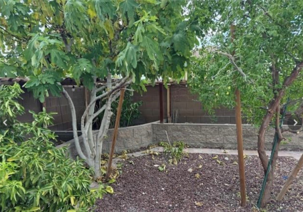 1630 Harvest Pecan Court Property Photo 25