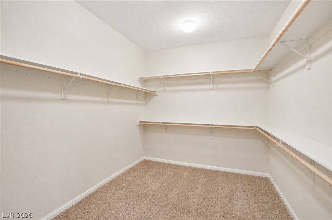 6168 Stetson Cove Court Property Photo 25