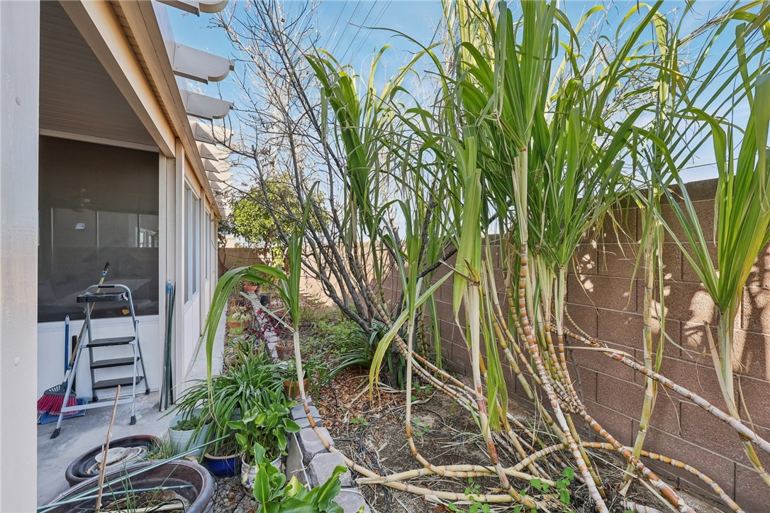 6168 Stetson Cove Court Property Photo 63