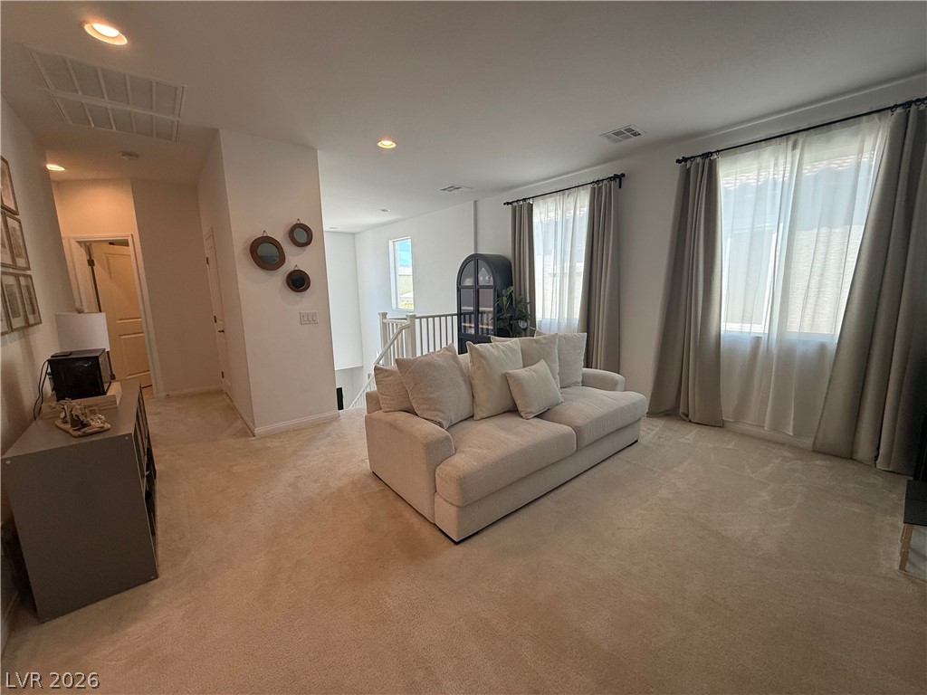 9234 Swift Current Drive Property Photo 19