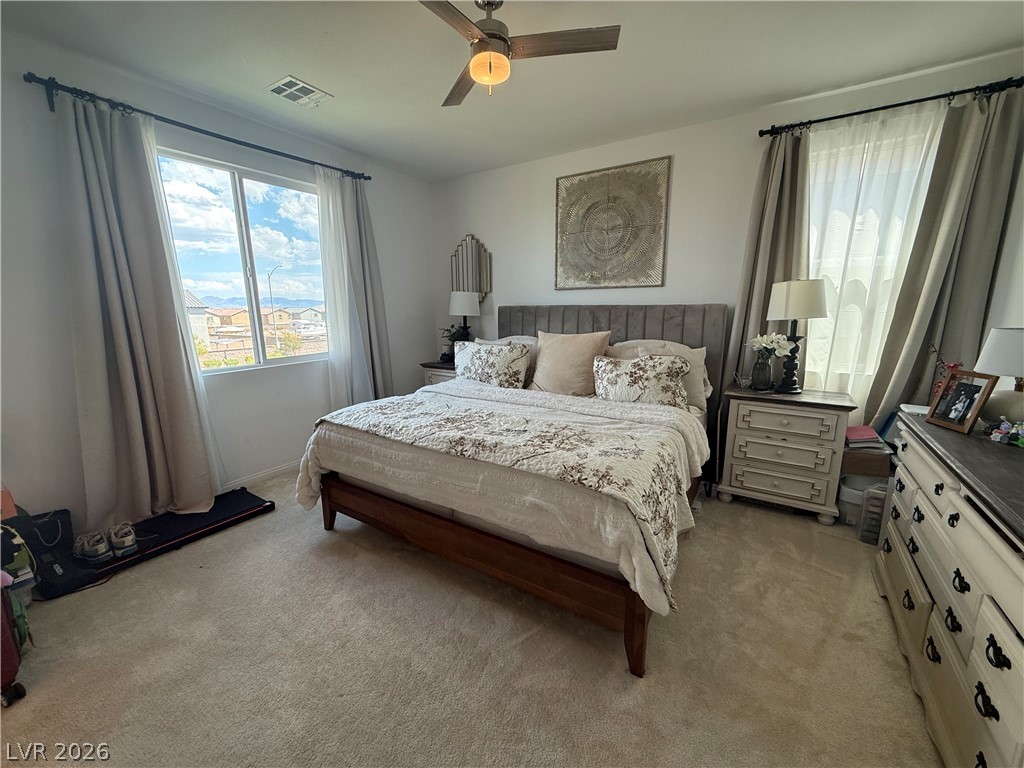 9234 Swift Current Drive Property Photo 21