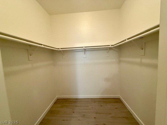 10290 Gilmore Canyon Court 103 Property Photo 15