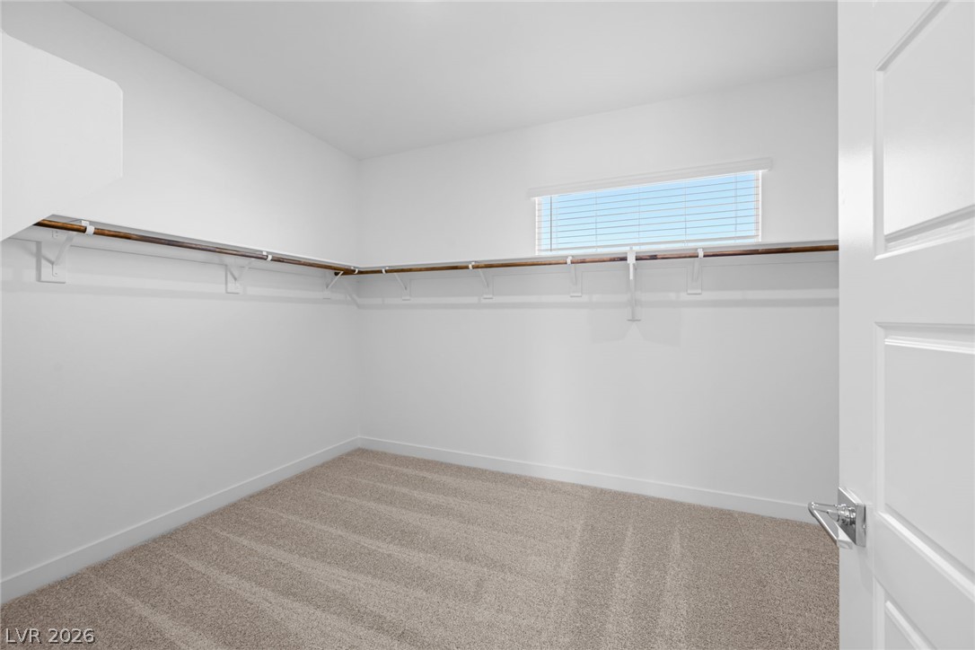 9992 Decano Ridge Street Property Photo 21