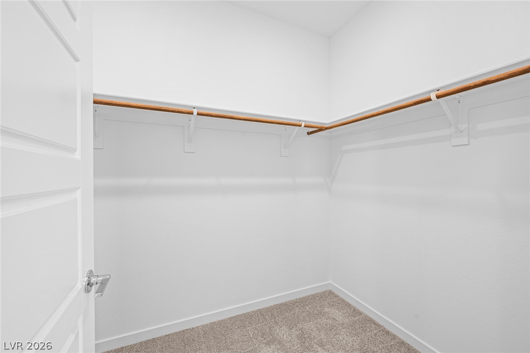 1473 Great Snipe Avenue Property Photo 24