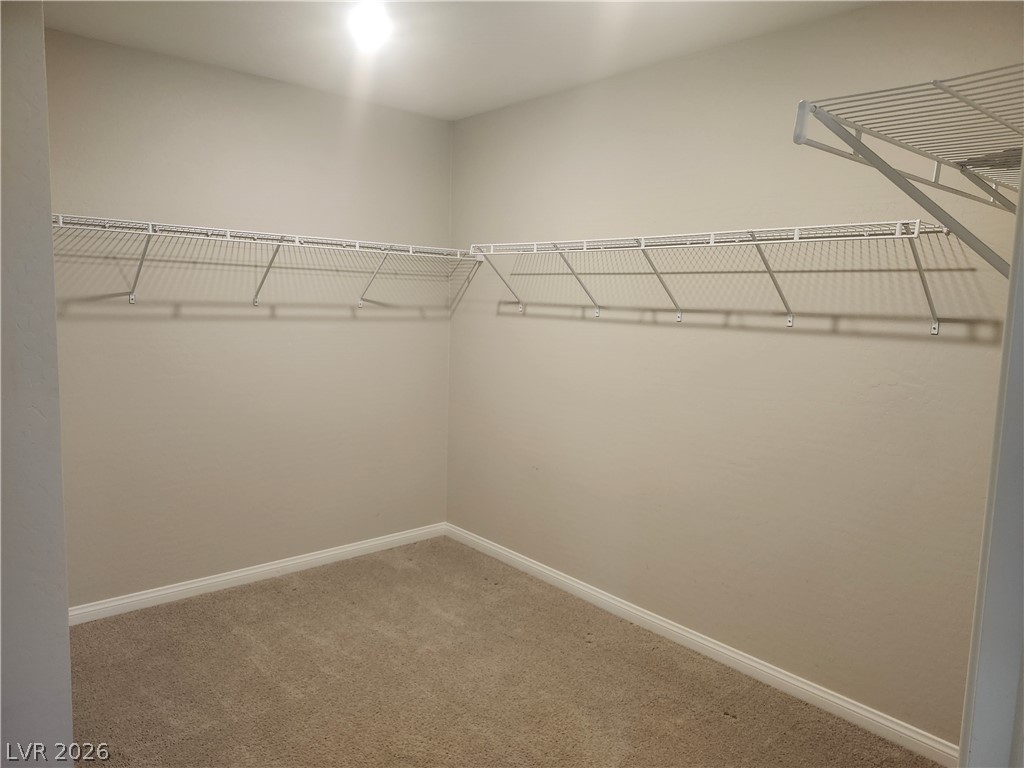 4163 Peaceful Meadow Street Property Photo 28