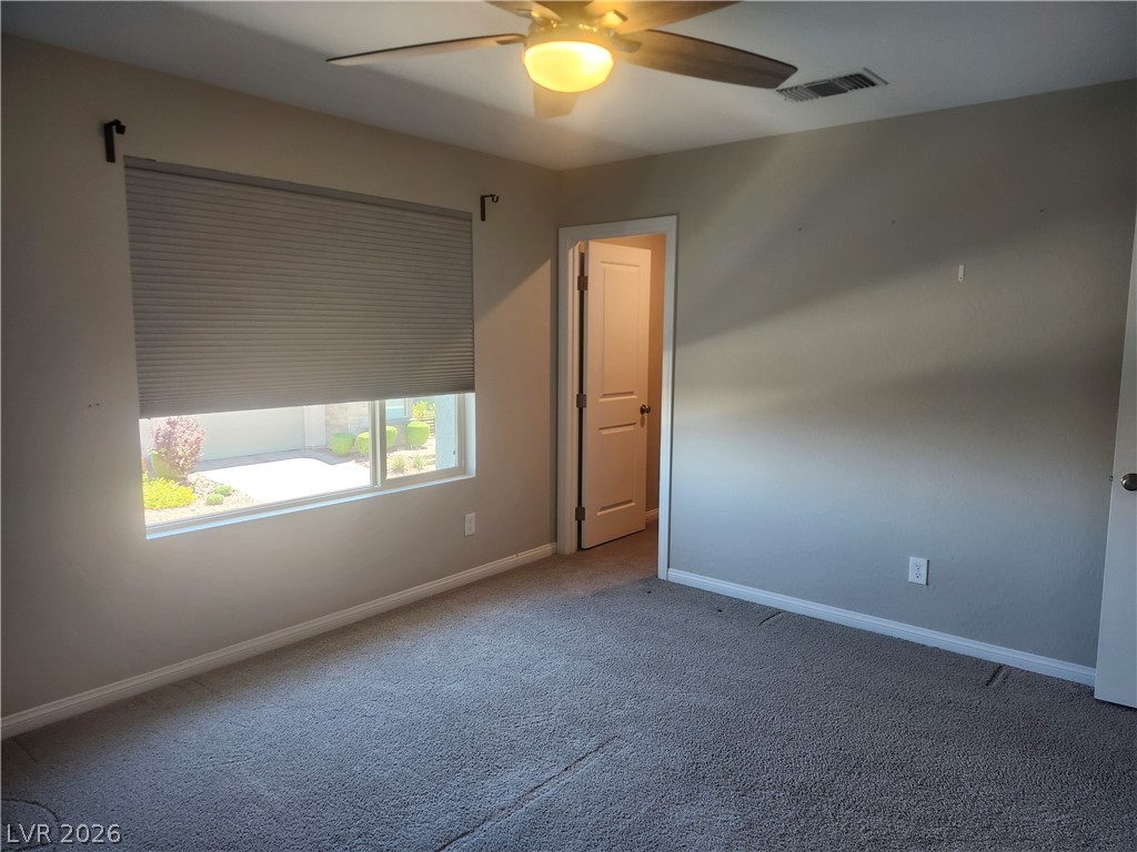4163 Peaceful Meadow Street Property Photo 43