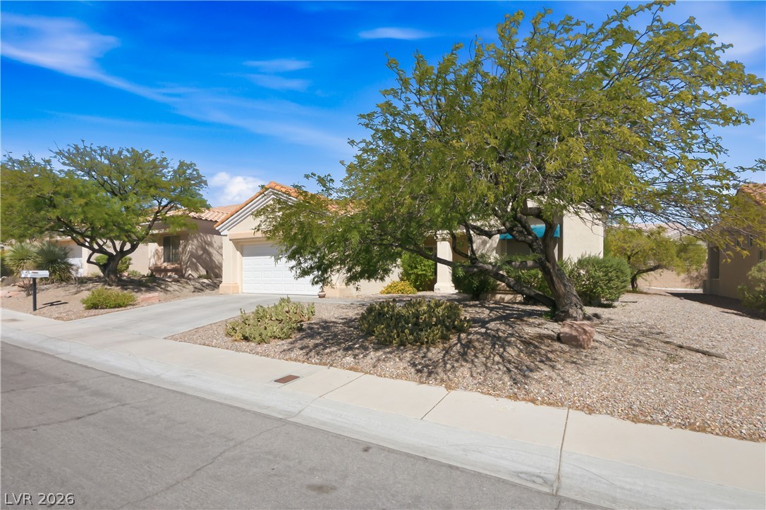 10704 Heritage Hills Drive Property Photo 20