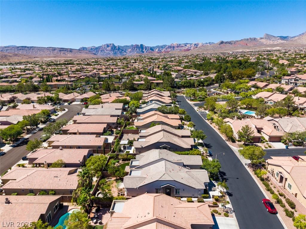 11253 Piper Peak Lane Property Photo 41