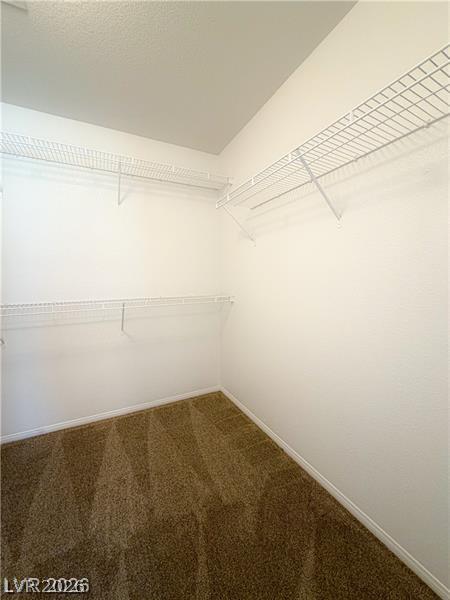 9031 Spring Star Court Property Photo 6