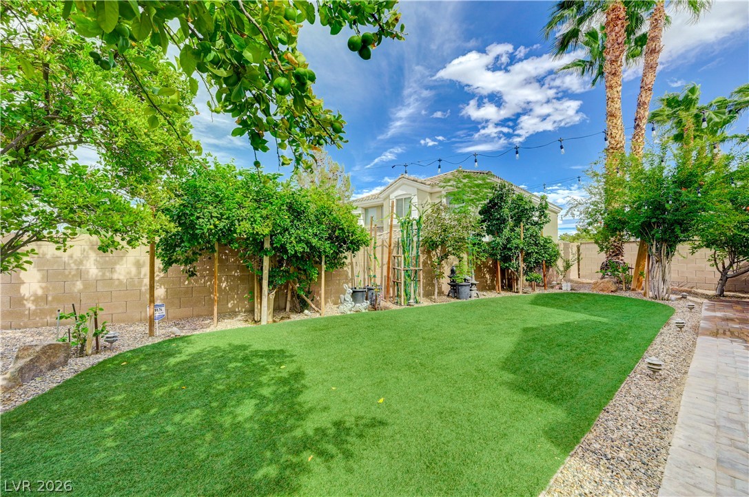 218 Crooked Putter Drive Property Photo 67
