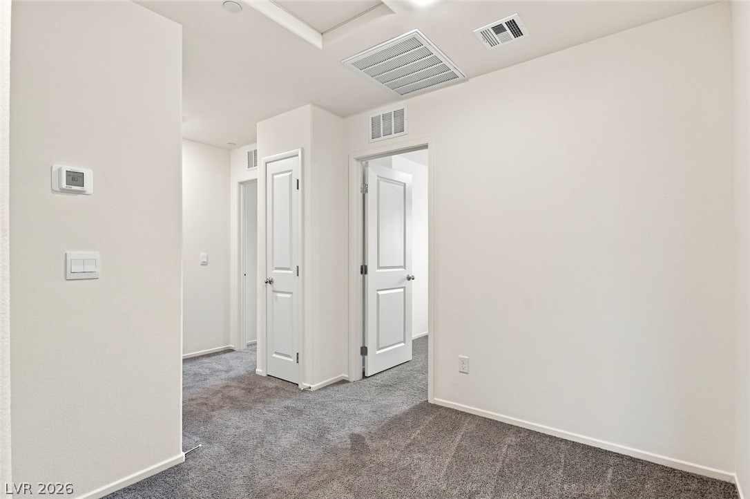 6141 Musas Garden Street Property Photo 22