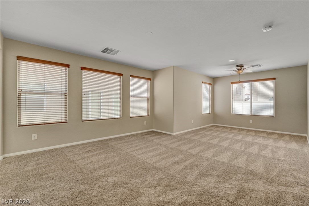 9015 Alex Creek Avenue Property Photo 12