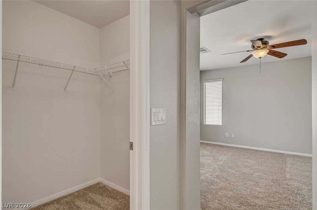 9015 Alex Creek Avenue Property Photo 29
