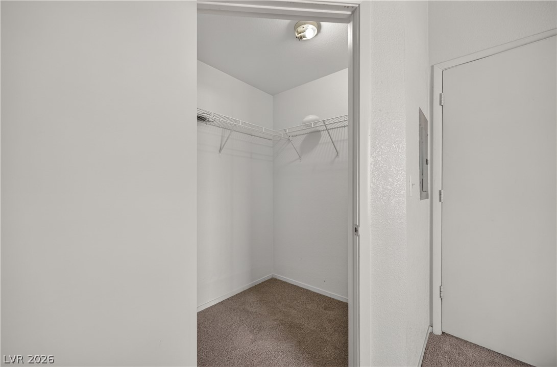 2141 Hussium Hills Street 102 Property Photo 25