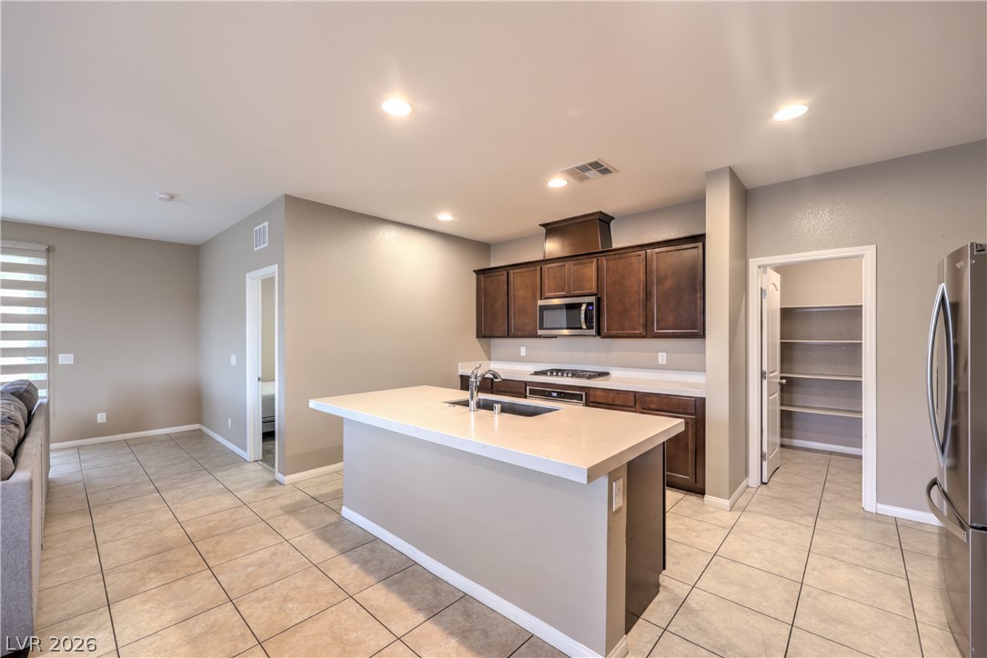 4658 Chestnut Tiger Street Property Photo 11