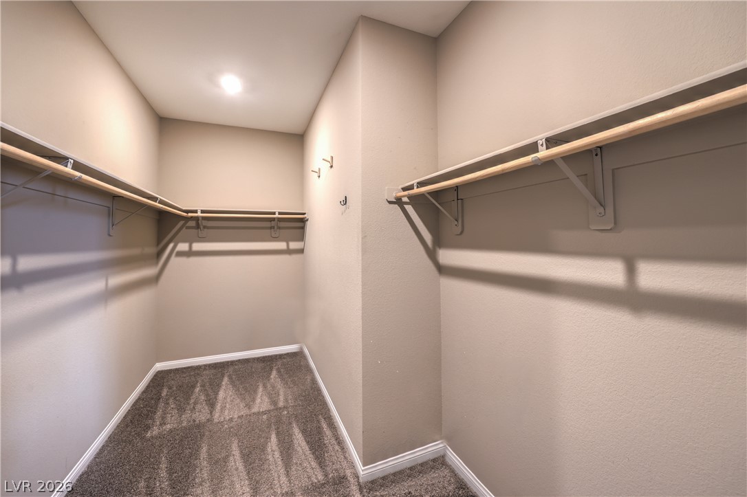 4658 Chestnut Tiger Street Property Photo 23