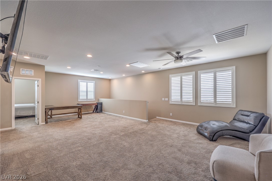 4658 Chestnut Tiger Street Property Photo 24