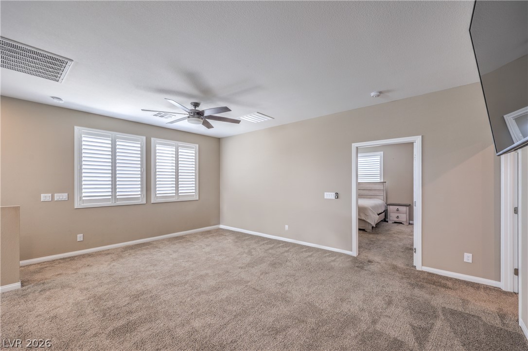 4658 Chestnut Tiger Street Property Photo 26