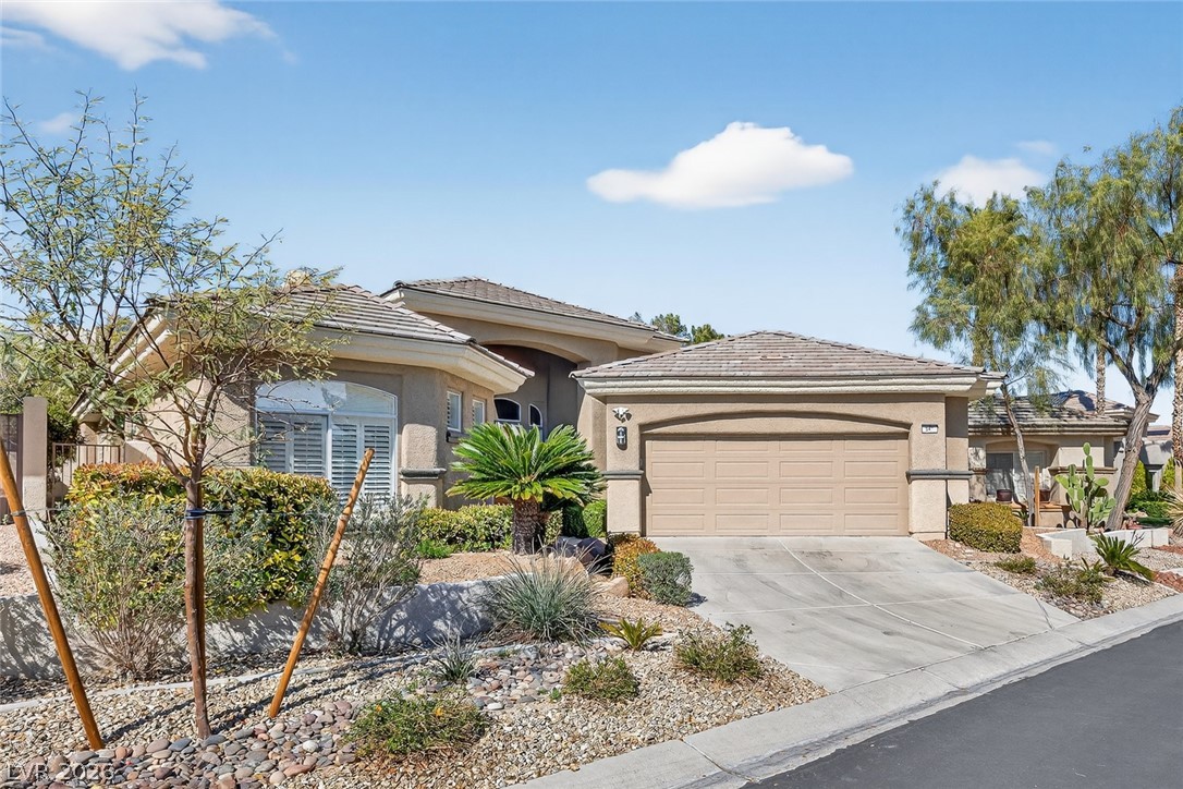 541 Summer Mesa Drive Property Photo 3