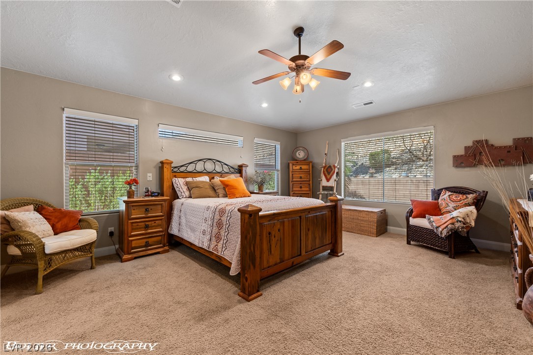 982 Buteo Bend Property Photo 16