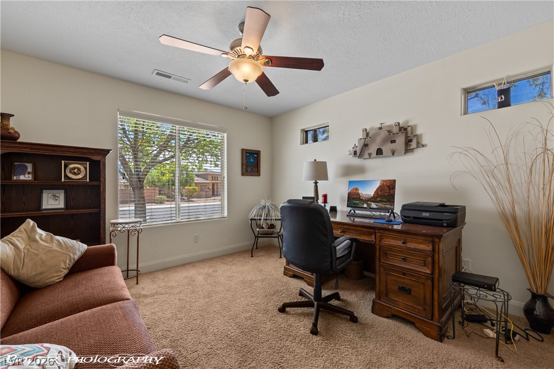 982 Buteo Bend Property Photo 21