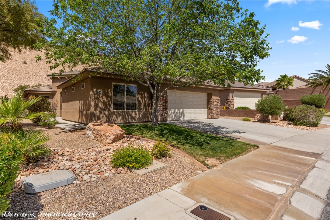 982 Buteo Bend Property Photo 30