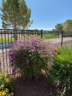 5119 East Long Leaf Court Property Photo 14