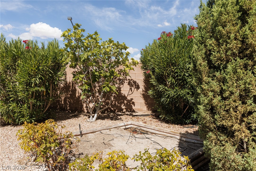 841 Purdy Lodge Street Property Photo 36