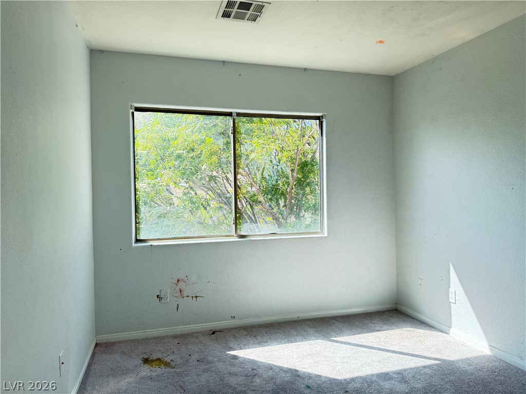 8249 Apple Spice Street Property Photo 18