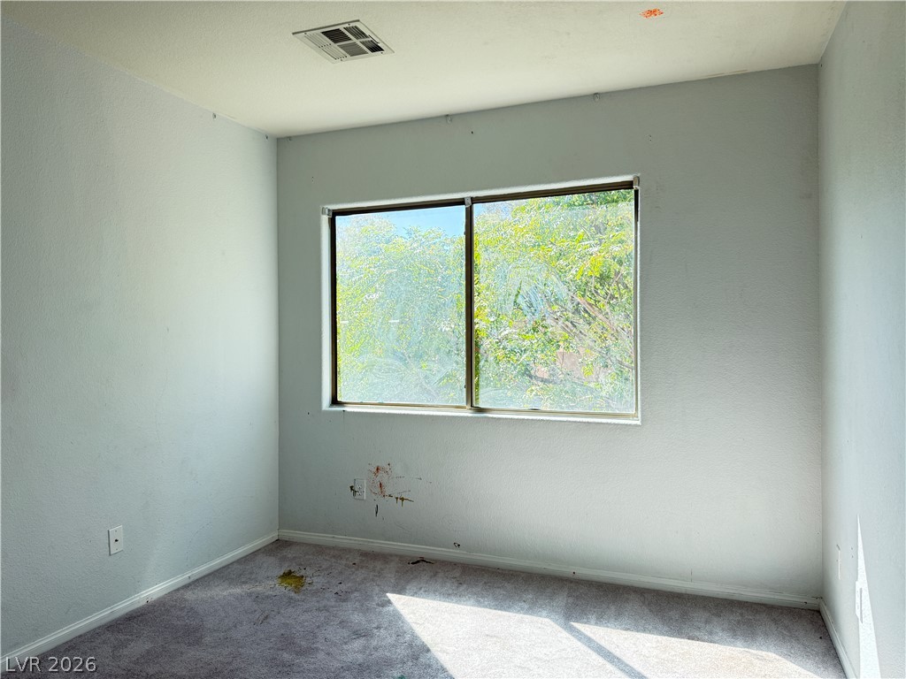 8249 Apple Spice Street Property Photo 19