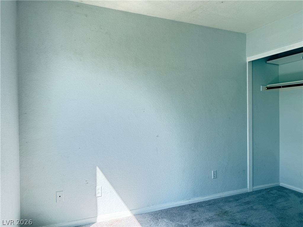 8249 Apple Spice Street Property Photo 22