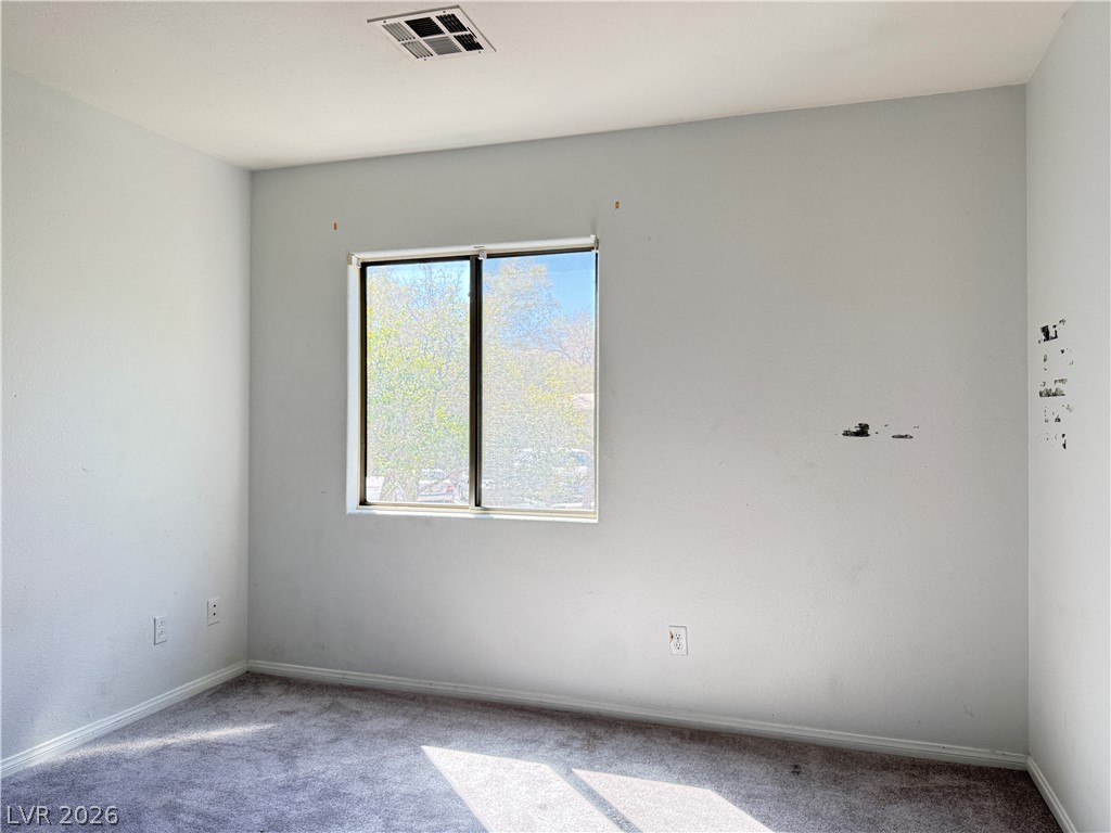 8249 Apple Spice Street Property Photo 24