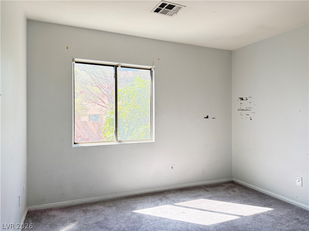 8249 Apple Spice Street Property Photo 27