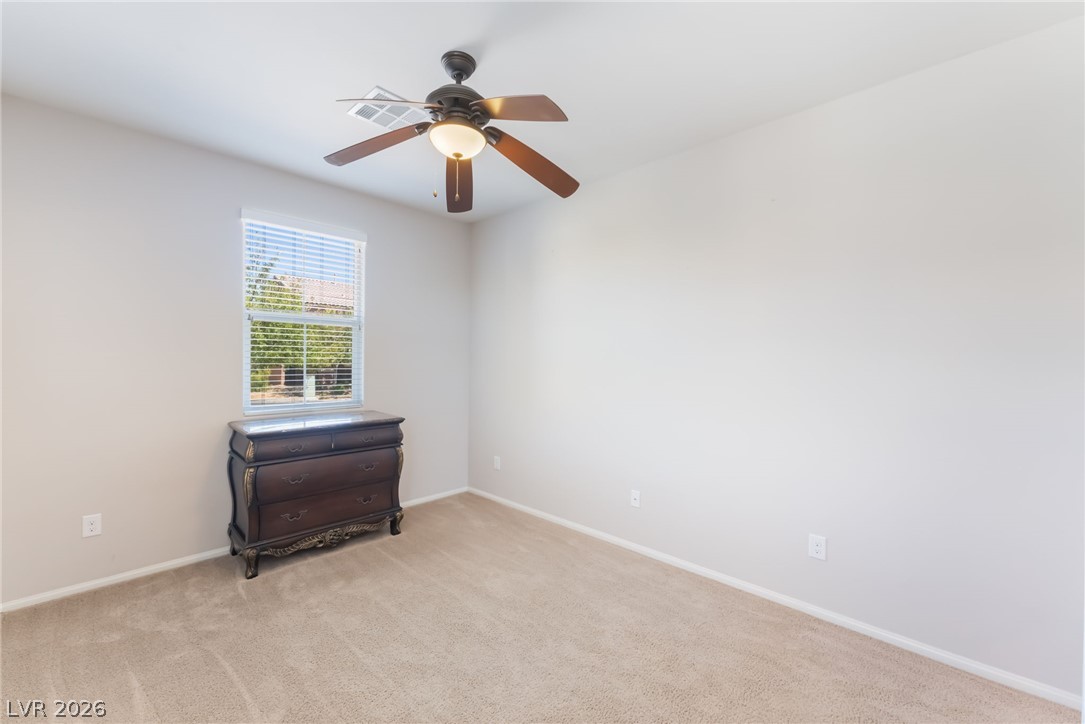 4369 Shady River Avenue Property Photo 28