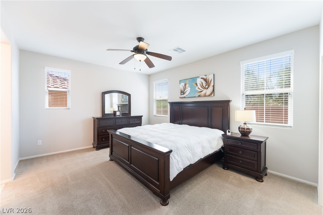 4369 Shady River Avenue Property Photo 43