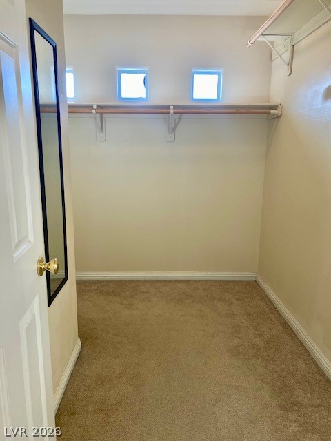 5836 Aimless Street Property Photo 11