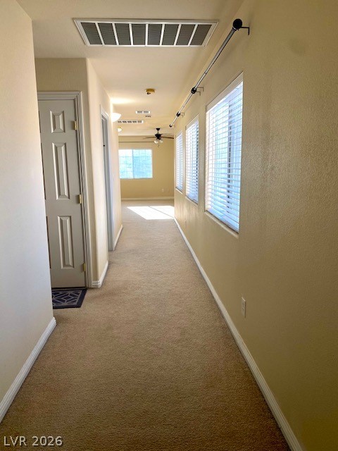 5836 Aimless Street Property Photo 12