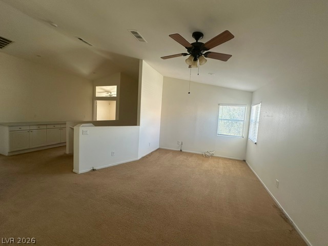 3194 Castle Canyon Avenue Property Photo 19