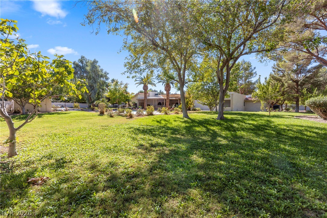 7176 Tomiyasu Lane Property Photo 67