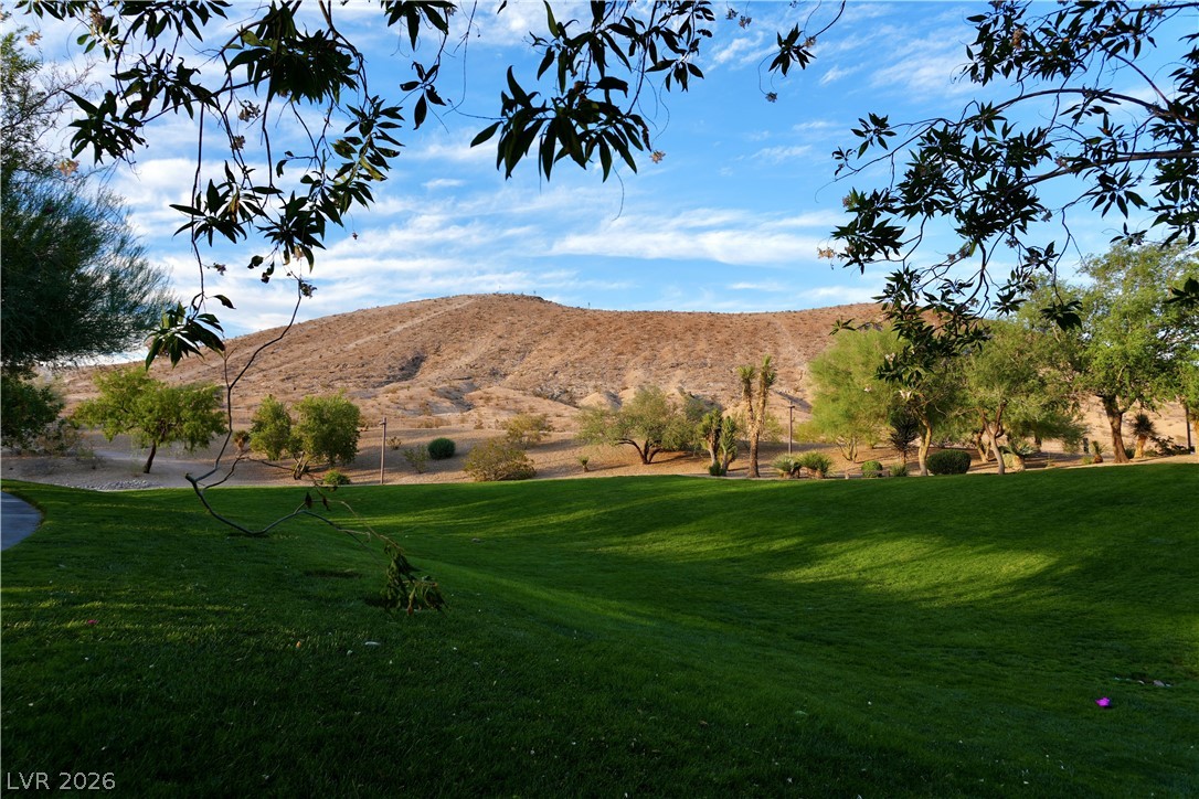 7675 Tierra Montanosa Avenue Property Photo 39