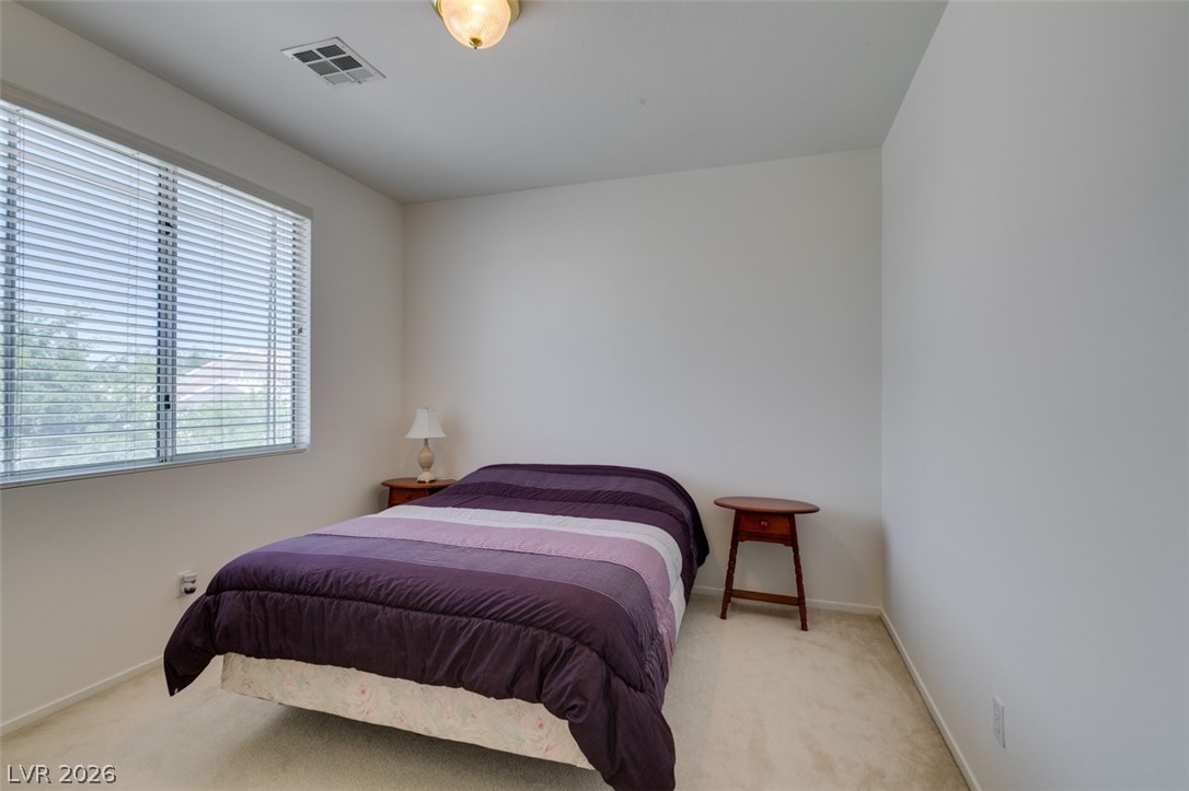 10290 Marion Morrison Court Property Photo 47