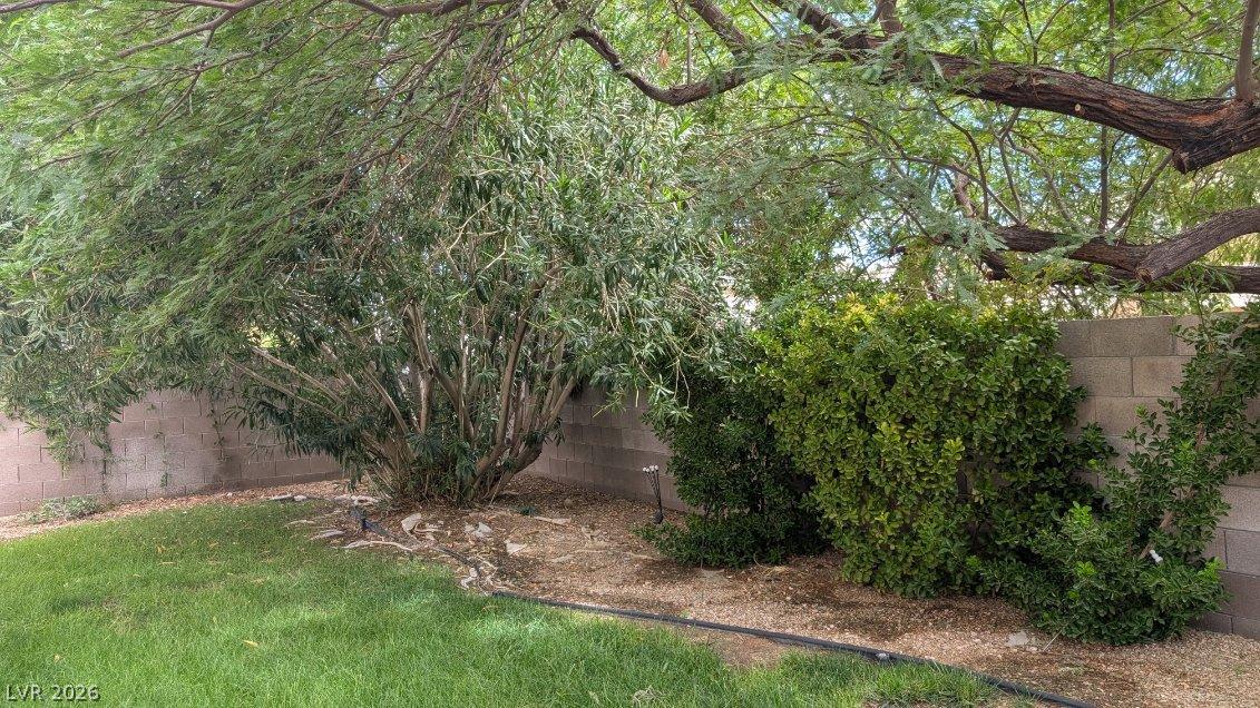 10449 Niagara Falls Lane Property Photo 32