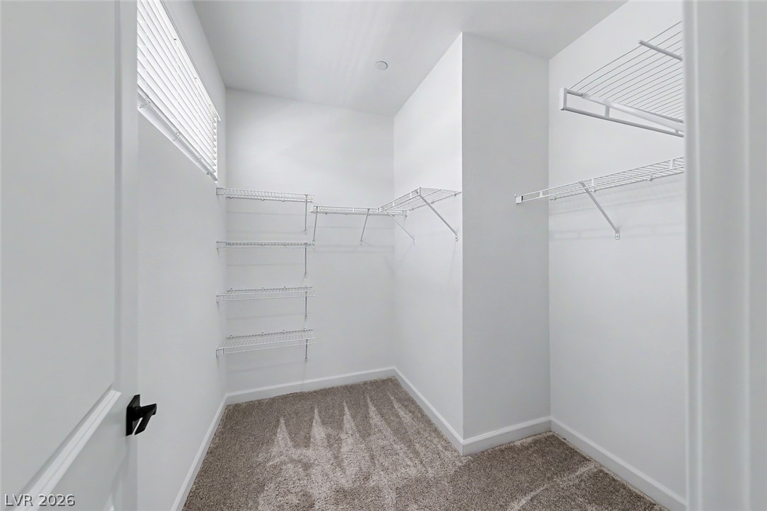 1437 Whistling Kite Street Property Photo 28
