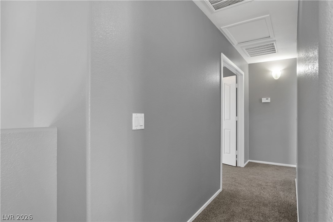 251 Ventana Village Lane Property Photo 23