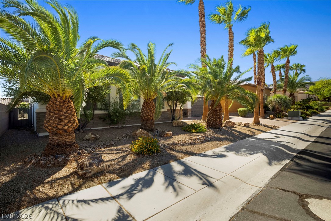246 Calle Palacio Street Property Photo 2