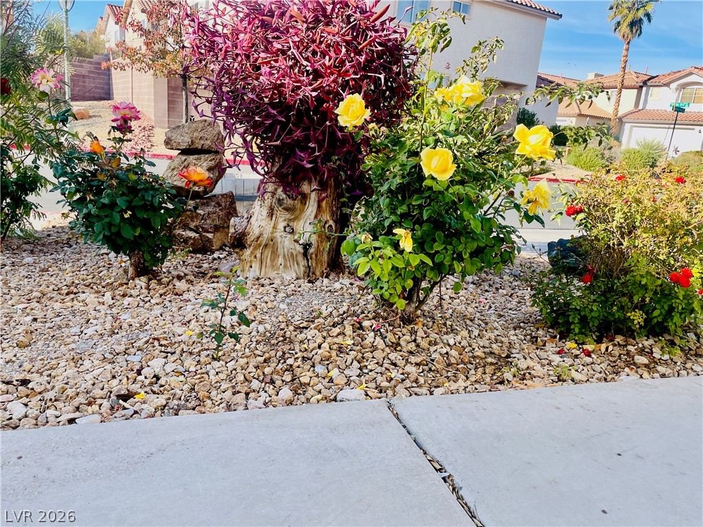 9224 Canalino Drive Property Photo 24