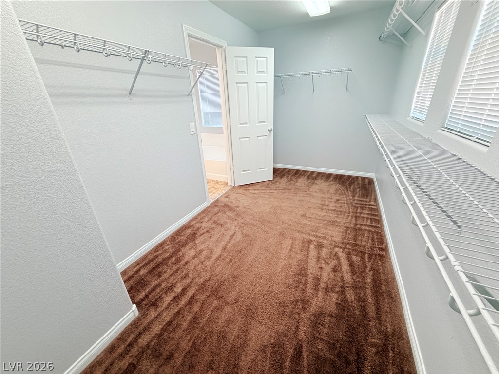 5604 Rocky Ravine Avenue Property Photo 85