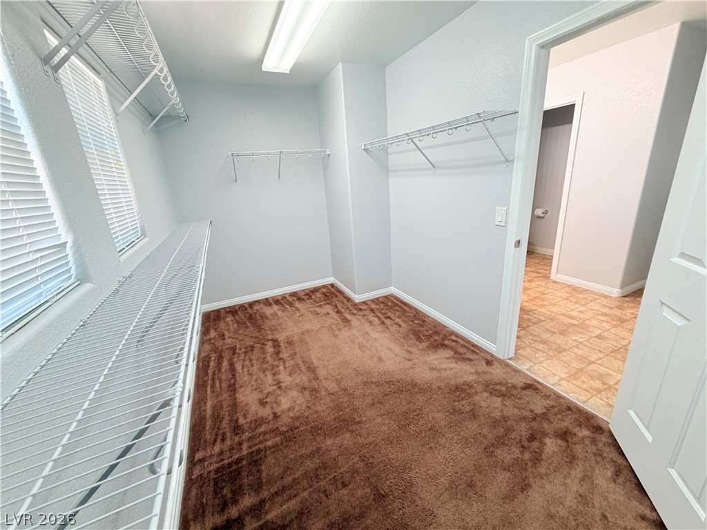 5604 Rocky Ravine Avenue Property Photo 86