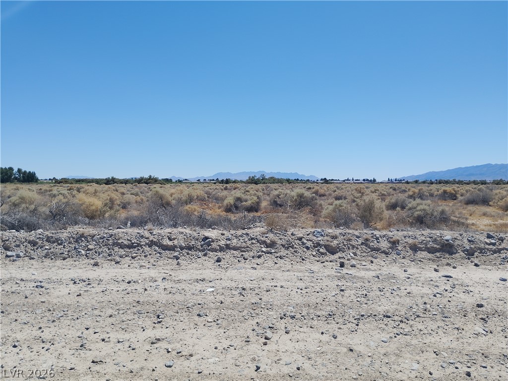 4471 East Gamebird Road Property Photo 2