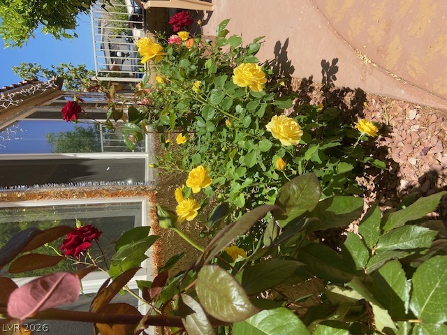 3877 Platis Circle Property Photo 49